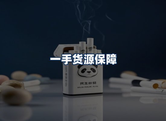 专业团队办公环境